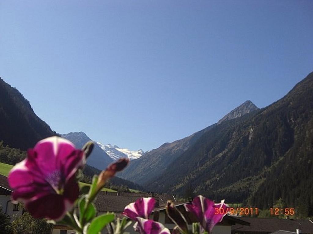 Appartements Fam. Gleinser Mirella Neustift im Stubaital Exterior foto